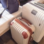 suitcase-syobun