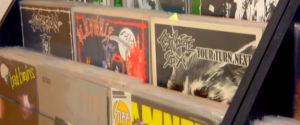 レコードコレクター