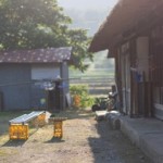 庭に溜まった捨てられないゴミ